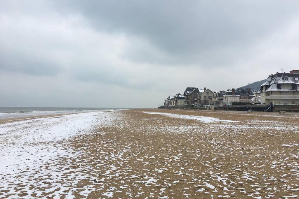Souplex 50M De La Plage Et Des Commerces Houlgate Exteriör bild